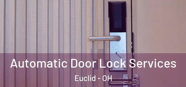 Automatic Door Lock Services Euclid - OH