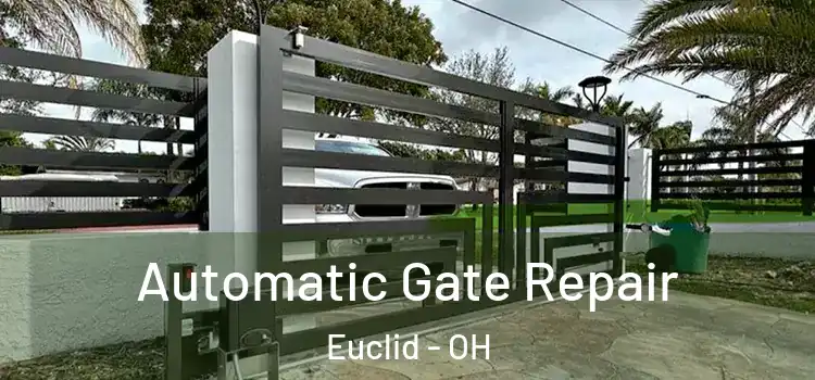 Automatic Gate Repair Euclid - OH
