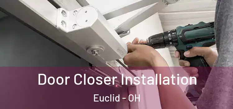  Door Closer Installation Euclid - OH