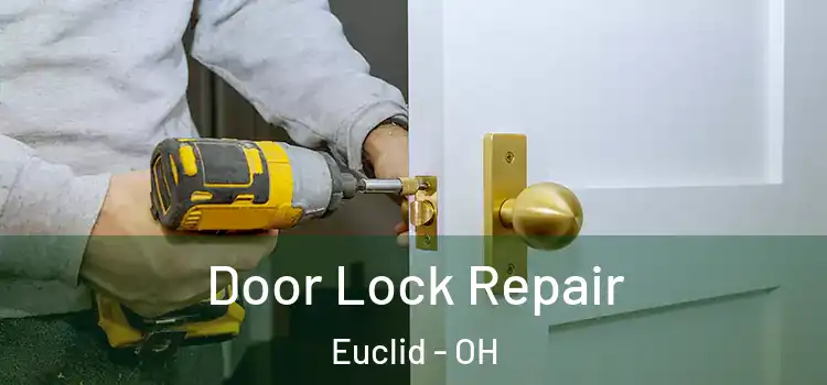 Door Lock Repair Euclid - OH