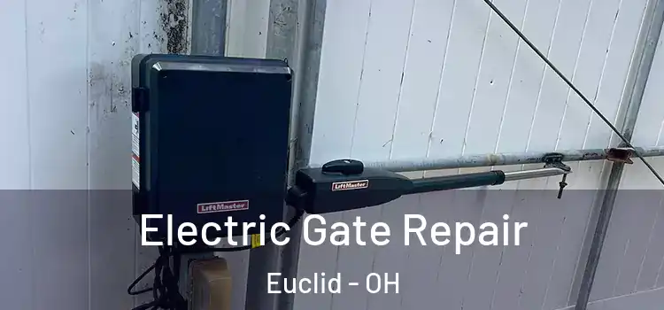 Electric Gate Repair Euclid - OH