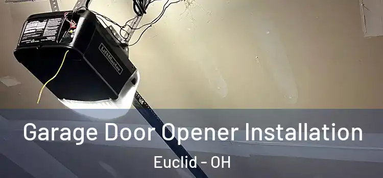  Garage Door Opener Installation Euclid - OH