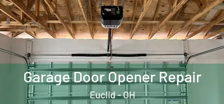  Garage Door Opener Repair Euclid - OH