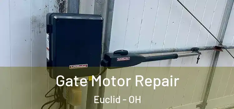 Gate Motor Repair Euclid - OH