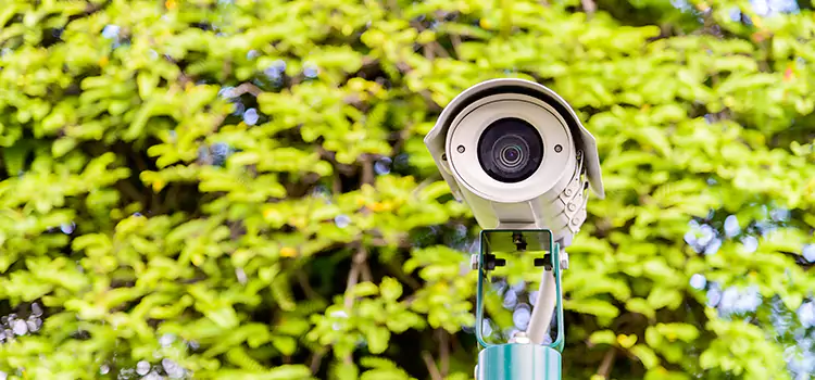 Advanced Surveillance Solutions for Every Need in Euclid
