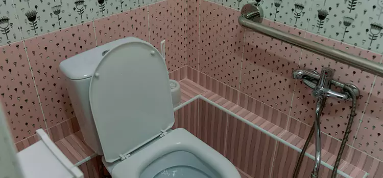 Meeting Diverse Needs With Accessible Restroom Solutions in Euclid, OH