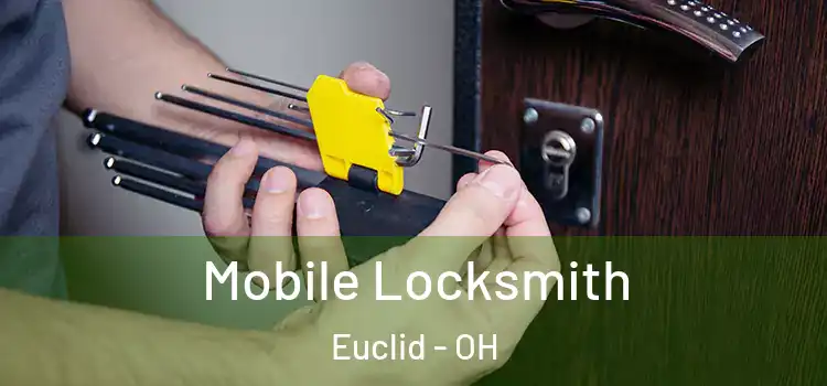 Mobile Locksmith Euclid - OH