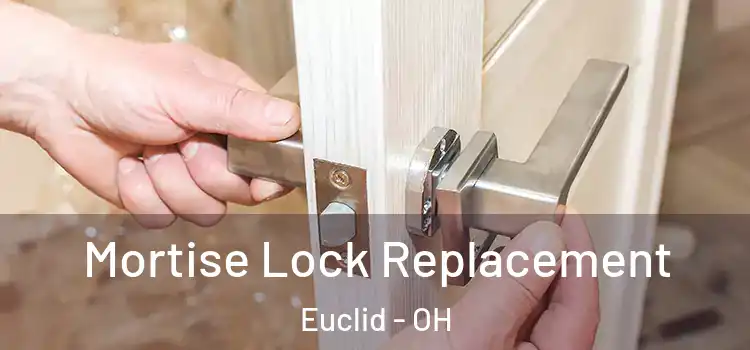 Mortise Lock Replacement Euclid - OH