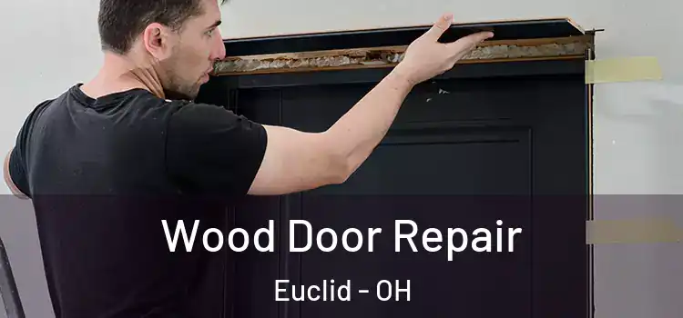 Wood Door Repair Euclid - OH